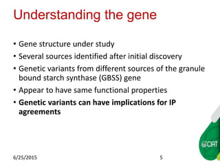 WAXY CASSAVA AGREEMENTS AT CIAT