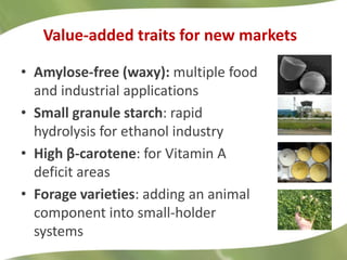 Redesigning cassava for tomorrow's demands Asia Clair Hershey