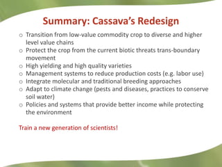 Redesigning cassava for tomorrow's demands Asia Clair Hershey