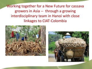 Redesigning cassava for tomorrow's demands Asia Clair Hershey