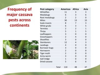Redesigning cassava for tomorrow's demands Asia Clair Hershey