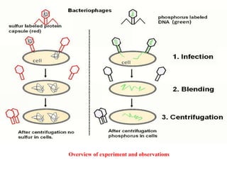 Overview of experiment and observations
 
