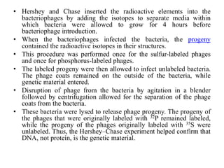 • Hershey and Chase inserted the radioactive elements into the
bacteriophages by adding the isotopes to separate media within
which bacteria were allowed to grow for 4 hours before
bacteriophage introduction.
• When the bacteriophages infected the bacteria, the progeny
contained the radioactive isotopes in their structures.
• This procedure was performed once for the sulfur-labeled phages
and once for phosphorus-labeled phages.
• The labeled progeny were then allowed to infect unlabeled bacteria.
The phage coats remained on the outside of the bacteria, while
genetic material entered.
• Disruption of phage from the bacteria by agitation in a blender
followed by centrifugation allowed for the separation of the phage
coats from the bacteria.
• These bacteria were lysed to release phage progeny. The progeny of
the phages that were originally labeled with 32P remained labeled,
while the progeny of the phages originally labeled with 35S were
unlabeled. Thus, the Hershey–Chase experiment helped confirm that
DNA, not protein, is the genetic material.
 