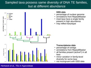 Sampled taxa possess same diversity of DNA TE families,
but at different abundance
Hertweck et al., TEs in Agavoideae
GSS data
●
percentage of nuclear genome
●
annotations from RepeatMasker
●
most taxa have a single family
present in high abundance
●
may reflect karyotype
Transcriptome data
●
percentage of contigs
●
annotations from RepeatMasker
●
all families present (active?) in all
taxa
●
minor variation in family-level
diversity for some taxa
●
not incongruent with GSS data
 