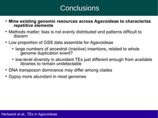 Hertweck et al., TEs in Agavoideae
Conclusions
●
Mine existing genomic resources across Agavoideae to characterize
repetitive elements
●
Methods matter; bias is not evenly distributed and patterns difficult to
discern
●
Low proportion of GSS data assemble for Agavoideae
●
large numbers of ancestral (inactive) insertions, related to whole
genome duplication event?
●
low-level diversity in abundant TEs just different enough from available
libraries to remain undetectable
●
DNA transposon dominance may differ among clades
●
Gypsy more abundant in most genomes
 