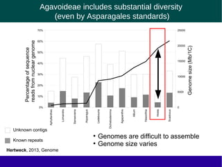 Aphyllanthes
Lomandra
Sansevieria
Asparagus
Ledebouria
Dichelostemma
Agapanthis
Allium
Haworthia
Hosta
Scadoxus
0%
10%
20%
30%
40%
50%
60%
70%
0
5000
10000
15000
20000
25000
Agavoideae includes substantial diversity
(even by Asparagales standards)
Unknown contigs
Known repeats
Genomesize(Mb/1C)
Percentageofsequence
readsfromnucleargenome
Hertweck, 2013, Genome
●
Genomes are difficult to assemble
●
Genome size varies
 
