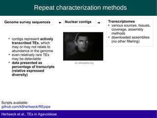 Repeat characterization methods
Genome survey sequences
Scripts available:
github.com/k8hertweck/REpipe
Hertweck et al., TEs in Agavoideae
Transcriptomes
●
various sources, tissues,
coverage, assembly
methods
●
downloaded assemblies
(no other filtering)
Nuclear contigs
●
contigs represent actively
transcribed TEs, which
may or may not relate to
abundance in the genome
●
even relatively rare TEs
may be detectable
●
data presented as
percentage of transcripts
(relative expressed
diversity)
en.wikipedia.org
 