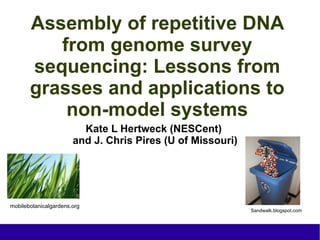 Assembly of repetitive DNA
          from genome survey
       sequencing: Lessons from
       grasses and applications to
           non-model systems
                         Kate L Hertweck (NESCent)
                       and J. Chris Pires (U of Missouri)




mobilebotanicalgardens.org
                                                            Sandwalk.blogspot.com
 