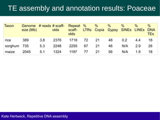 TE assembly and annotation results: Poaceae
Taxon Genome # reads # scaff- Repeat % % % % % %
size (Mb) olds scaff- LTRs Copia Gypsy SINEs LINEs DNA
olds TEs
rice 389 3.8 2376 1718 72 21 48 0.2 4.4 18
sorghum 735 5.3 2248 2255 67 21 46 N/A 2.9 26
maize 2045 5.1 1324 1197 77 21 56 N/A 1.9 18
Kate Hertweck, Evolutionary effects of junk DNA
Repetitive DNA assembly