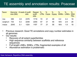 TE assembly and annotation results: Poaceae
Taxon Genome # reads # scaff- Repeat % % % % % %
size (Mb) olds scaff- LTRs Copia Gypsy SINEs LINEs DNA
olds TEs
rice 389 3.8 2376 1718 72 21 48 0.2 4.4 18
sorghum 735 5.3 2248 2255 67 21 46 N/A 2.9 26
maize 2045 5.1 1324 1197 77 21 56 N/A 1.9 18
●
Previous research: Good TE annotations and copy number estimates in
all genomes
●
Our results:
●
Recovery of all extant superfamilies
●
High sequence similarity between scaffolds and reference
sequences
●
Full length LINEs, SINEs, LTRs; fragmented examples of all
●
Abundance estimation is problematic
Kate Hertweck, Evolutionary effects of junk DNA
Repetitive DNA assembly
