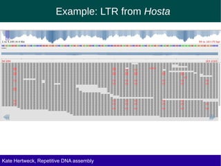 Example: LTR from Hosta
Kate Hertweck, Evolutionary effects of junk DNA
Repetitive DNA assembly