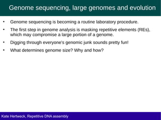 Genome sequencing, large genomes and evolution
●
Genome sequencing is becoming a routine laboratory procedure.
●
The first step in genome analysis is masking repetitive elements (REs),
which may compromise a large portion of a genome.
●
Digging through everyone's genomic junk sounds pretty fun!
●
What determines genome size? Why and how?
Kate Hertweck, Repetitive DNA assembly