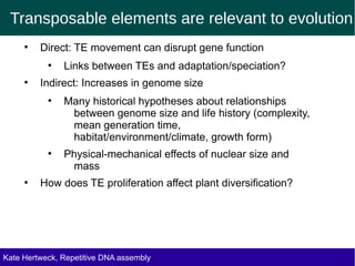 Transposable elements are relevant to evolution
●
Direct: TE movement can disrupt gene function
●
Links between TEs and adaptation/speciation?
●
Indirect: Increases in genome size
●
Many historical hypotheses about relationships
between genome size and life history (complexity,
mean generation time,
habitat/environment/climate, growth form)
●
Physical-mechanical effects of nuclear size and
mass
●
How does TE proliferation affect plant diversification?
Kate Hertweck, Repetitive DNA assembly
