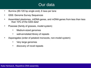 Our data
●
Illumina (80-120 bp single end), 6 taxa per lane
●
GSS: Genome Survey Sequences
●
Assembled plastomes, mtDNA genes, and nrDNA genes from less than less
than 10% of the GSS data!
●
Poaceae (family of grasses, model system)
●
Medium-sized genomes
●
well-annotated library of repeats
●
Asparagales (order of petaloid monocots, non-model system)
●
Very large genomes
●
discovery of novel repeats
Kate Hertweck, Evolutionary effects of junk DNA
Repetitive DNA assembly