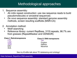 Methodological approaches
1. Sequence assembly:
●
Ab initio repeat construction: use raw sequence reads to build
pseudomolecules or ancestral sequences
●
De novo sequence assembly: standard genome assembly
methods, screen resulting scaffolds (MSR-CA)
2. Annotation method:
●
Motif searching
●
Reference library: current RepBase, 3110 repeats, 98.7% are
from grasses (RepeatMasker and CENSOR)
Class I: Retrotransposons Class II: DNA transposons
LTR TIR
LINE Crypton
SINE Helitron
ERV Maverick
SVA
See my iEvoBio talk about TE databasing and ontology!
Kate Hertweck, Evolutionary effects of junk DNA
Repetitive DNA assembly