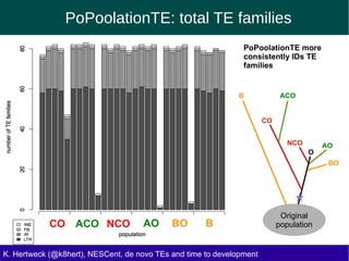 PoPoolationTE: total TE families
K. Hertweck (@k8hert), NESCent, de novo TEs and time to development
CO NCOACO AO BO B
PoPoolationTE more
consistently IDs TE
families
ACO
CO
BO
NCO AO
B
O
Original
population
 