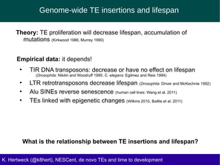 Genome-wide TE insertions and lifespan
Kate Hertweck, Genomic effects of repetitive DNAKate Hertweck, NESCent, Genomic effects of junk DNAK. Hertweck (@k8hert), NESCent, de novo TEs and time to development
Empirical data: it depends!
●
TIR DNA transposons: decrease or have no effect on lifespan
(Drosophila: Nikitin and Woodruff 1995; C. elegans: Egilmez and Reis 1994)
●
LTR retrotransposons decrease lifespan (Drosophila: Driver and McKechnie 1992)
●
Alu SINEs reverse senescence (human cell lines: Wang et al. 2011)
●
TEs linked with epigenetic changes (Wilkins 2010, Baillie et al. 2011)
Theory: TE proliferation will decrease lifespan, accumulation of
mutations (Kirkwood 1986, Murrey 1990)
What is the relationship between TE insertions and lifespan?
 