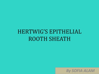 HERTWIG’S EPITHELIAL
ROOTH SHEATH
By SOFIA ALAM
 
