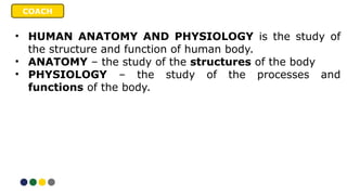 Comprehensive Introduction to Human Anatomy and Physiology: Structure ...