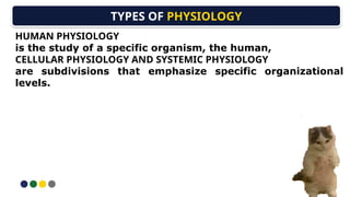 Comprehensive Introduction to Human Anatomy and Physiology: Structure ...