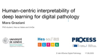 Human-centric interpretability of
deep learning for digital pathology
Mara Graziani
PhD student, Hes-so Valais and UniGe
E-talk @Swiss Digital Pathology 17.09.2020
for histop

Concept-based interpretability of CNNs

Guidable CNNs
 