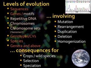 Mutation Rearrangement Duplication Deletion Homogenization Sequences Genes /  motifs Repetitive DNA Chromosomes Chromosome sets  (‘Genomes’) Genotypes/CVs Species Genera and above Crops / wild species Selection Speciation 