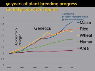 Agronomy & Nitrogen Genetics Transgenic Bt insect-resistant maize (& herbicide tolerant)  
