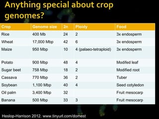 Heslop-Harrison 2012. www.tinyurl.com/domest Crop Genome size 2n Ploidy Food Rice 400 Mb 24 2 3x endosperm Wheat 17,000 Mbp 42 6 3x endosperm Maize 950 Mbp 10 4 (palaeo-tetraploid) 3x endosperm Potato 900 Mbp 48 4 Modifed leaf Sugar beet 758 Mbp 18 2 Modified root Cassava 770 Mbp 36 2 Tuber Soybean 1,100 Mbp 40 4 Seed cotyledon Oil palm 3,400 Mbp 32 Fruit mesocarp Banana 500 Mbp 33 3 Fruit mesocarp 