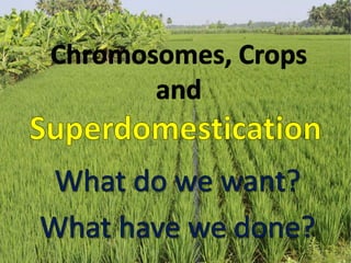 Polyploids and Chromosomes Lecture Japanese Genetics Society Heslop-Harrison Okayama