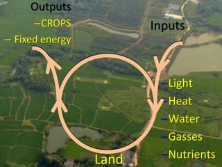 Outputs
–CROPS
– Fixed energy
Inputs
–Light
–Heat
–Water
–Gasses
–NutrientsLand
 