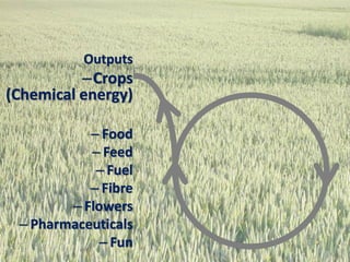 Outputs
–Crops
(Chemical energy)
– Food
– Feed
– Fuel
– Fibre
– Flowers
– Pharmaceuticals
– Fun61
 
