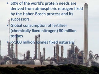 • 50% of the world's protein needs are
derived from atmospheric nitrogen fixed
by the Haber-Bosch process and its
successors.
• Global consumption of fertilizer
(chemically fixed nitrogen) 80 million
tonnes
• <<200 million tonnes fixed naturally
 