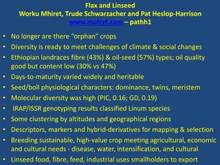 Flax and Linseed
Worku Mhiret, Trude Schwarzacher and Pat Heslop-Harrison
www.molcyt.com – pathh1
• No longer are there “orphan” crops
• Diversity is ready to meet challenges of climate & social changes
• Ethiopian landraces fibre (43%) & oil-seed (57%) types; oil quality
good but content low (30% vs 47%)
• Days-to-maturity varied widely and heritable
• Seed/boll physiological characters: dominance, twins, meristem
• Molecular diversity was high (PIC, 0.16; GD, 0.19)
• IRAP/ISSR genotyping results classified Linum species
• Some clustering by altitudes and geographical regions
• Descriptors, markers and hybrid-derivatives for mapping & selection
• Breeding sustainable, high-value crop meeting agricultural, economic
and cultural needs - disease, water, intensification, and cultural
• Linseed food, fibre, feed, industrial uses smallholders to export
 