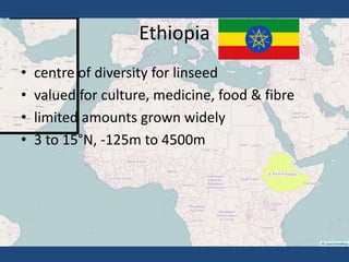 Ethiopia
• centre of diversity for linseed
• valued for culture, medicine, food & fibre
• limited amounts grown widely
• 3 to 15°N, -125m to 4500m
 