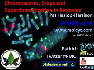 Chromosomes, Crops and 
Superdomestication in Katowice 
Pat Heslop-Harrison 
phh4@le.ac.uk 
www.molcyt.com 
UserID/PW ‘visitor’ 
Pathh1: 
Twitter #PMC . 
Slideshare pathh1 
 