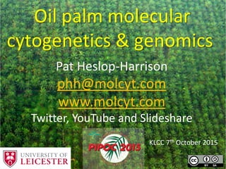 Oil palm molecular
cytogenetics & genomics
KLCC 7th October 2015
Pat Heslop-Harrison
phh@molcyt.com
www.molcyt.com
Twitter, YouTube and Slideshare
 