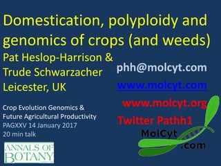 Domestication, polyploidy and
genomics of crops (and weeds)
Pat Heslop-Harrison &
Trude Schwarzacher
Leicester, UK
phh@molcyt.com
www.molcyt.com
www.molcyt.org
Twitter Pathh1 .
Crop Evolution Genomics &
Future Agricultural Productivity
PAGXXV 14 January 2017
20 min talk
 