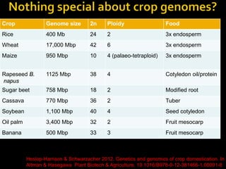 Crop               Genome size        2n     Ploidy                   Food
Rice               400 Mb             24     2                        3x endosperm
Wheat              17,000 Mbp         42     6                        3x endosperm
Maize              950 Mbp            10     4 (palaeo-tetraploid)    3x endosperm


Rapeseed B.        1125 Mbp           38     4                        Cotyledon oil/protein
napus
Sugar beet         758 Mbp            18     2                        Modified root
Cassava            770 Mbp            36     2                        Tuber
Soybean            1,100 Mbp          40     4                        Seed cotyledon
Oil palm           3,400 Mbp          32     2                        Fruit mesocarp
Banana             500 Mbp            33     3                        Fruit mesocarp



           Heslop-Harrison & Schwarzacher 2012. Genetics and genomics of crop domestication. In
           Altman & Hasegawa Plant Biotech & Agriculture. 10.1016/B978-0-12-381466-1.00001-8
 