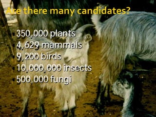 ¡ 350,000 plants
¡ 4,629 mammals
¡ 9,200 birds
¡ 10,000,000 insects
¡ 500,000 fungi



7
 