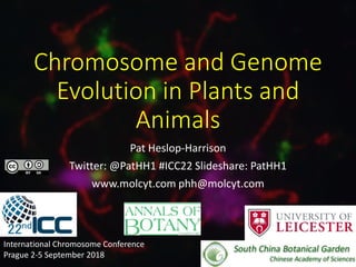 Chromosome and Genome
Evolution in Plants and
Animals
Pat Heslop-Harrison
Twitter: @PatHH1 #ICC22 Slideshare: PatHH1
www.molcyt.com phh@molcyt.com
International Chromosome Conference
Prague 2-5 September 2018
 