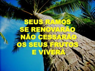 SEUS RAMOS
SE RENOVARÃO
NÃO CESSARÃO
OS SEUS FRUTOS
E VIVERÁ
 