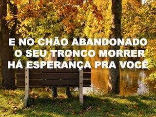 E NO CHÃO ABANDONADO
O SEU TRONCO MORRER
HÁ ESPERANÇA PRA VOCÊ
 