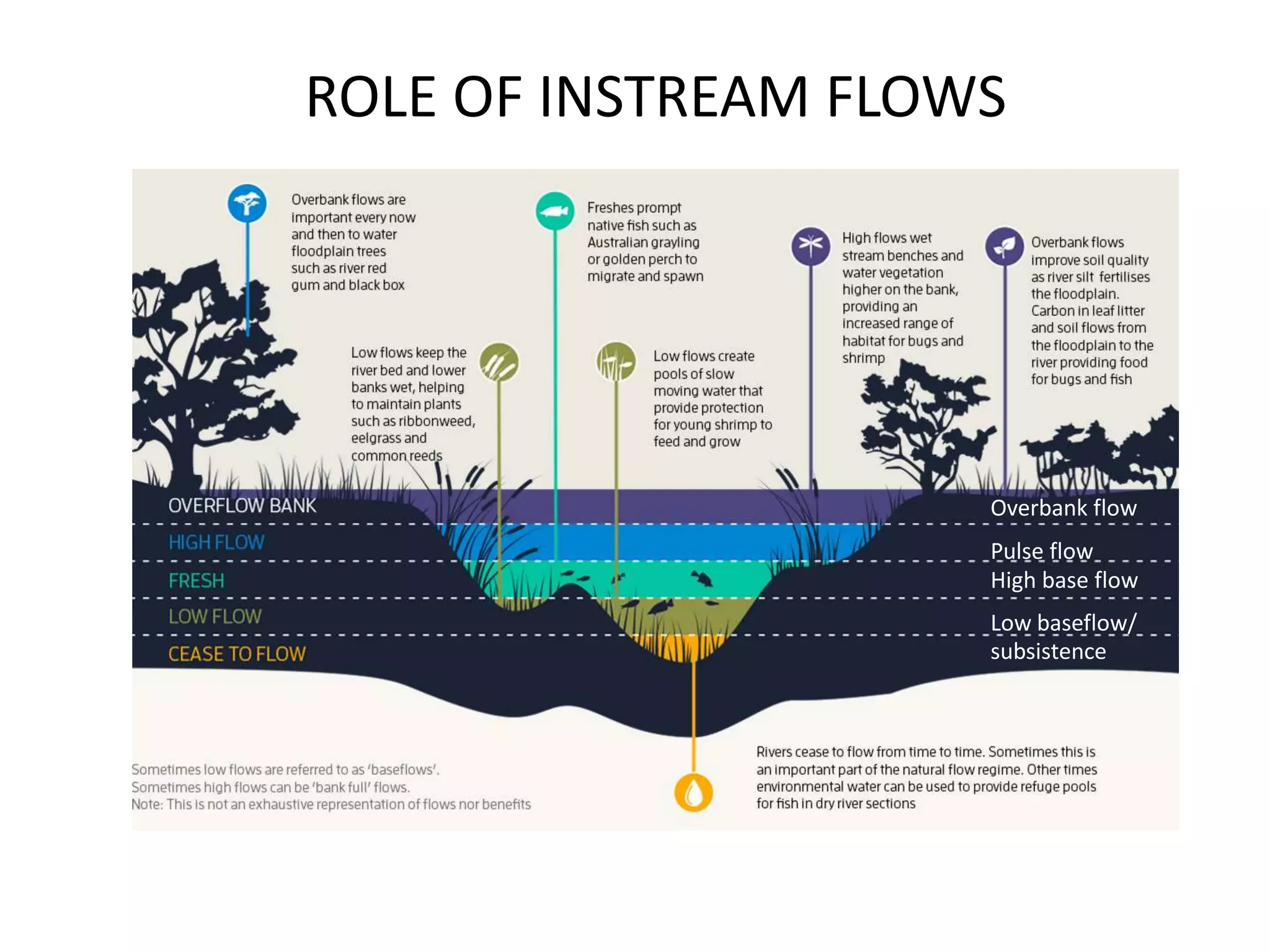 ROLE OF INSTREAM FLOWS
Overbank flow
Pulse flow
High base flow
Low baseflow/
subsistence