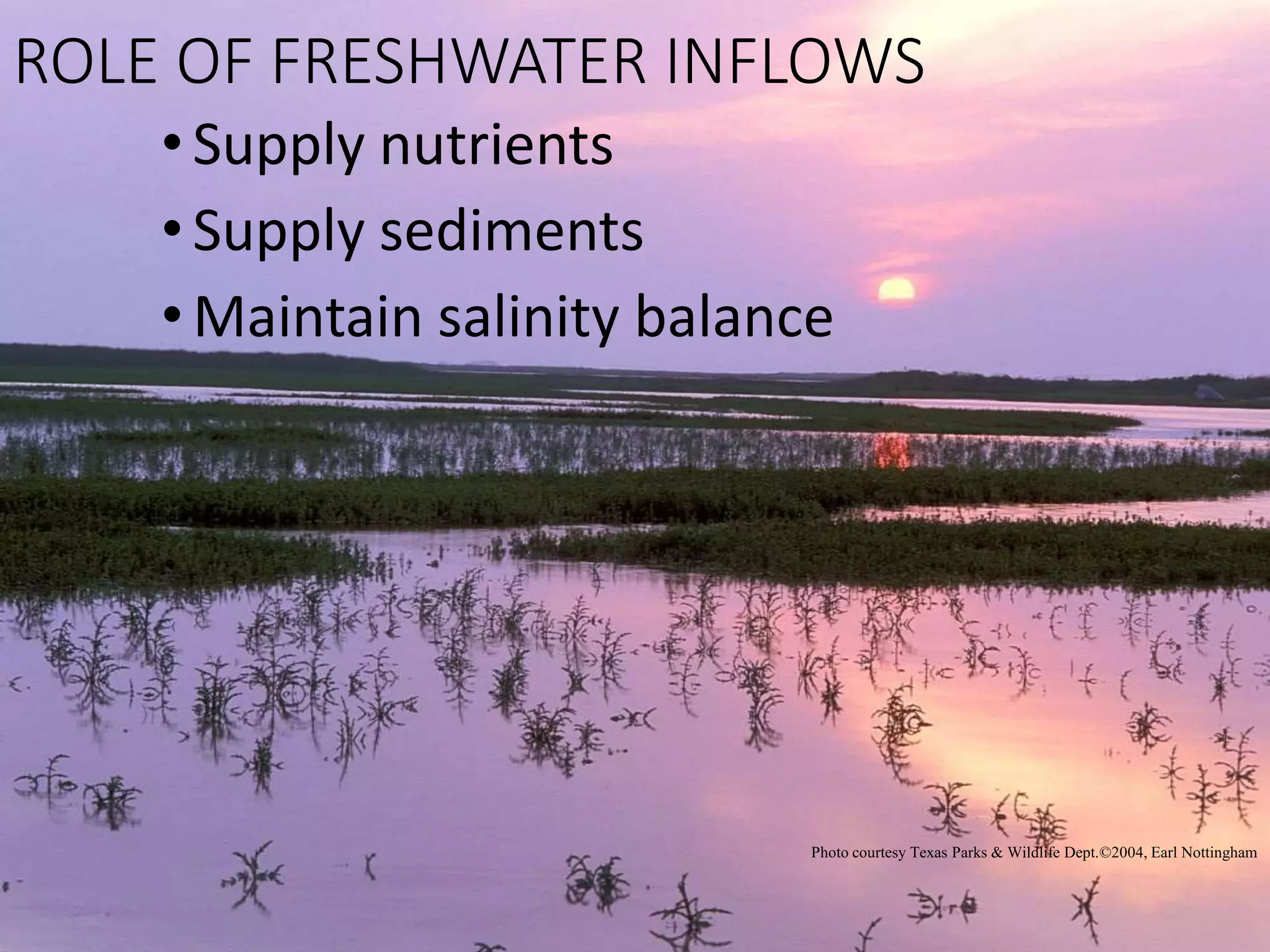 ROLE OF FRESHWATER INFLOWS
•Supply nutrients
•Supply sediments
•Maintain salinity balance
Photo courtesy Texas Parks & Wildlife Dept.©2004, Earl Nottingham