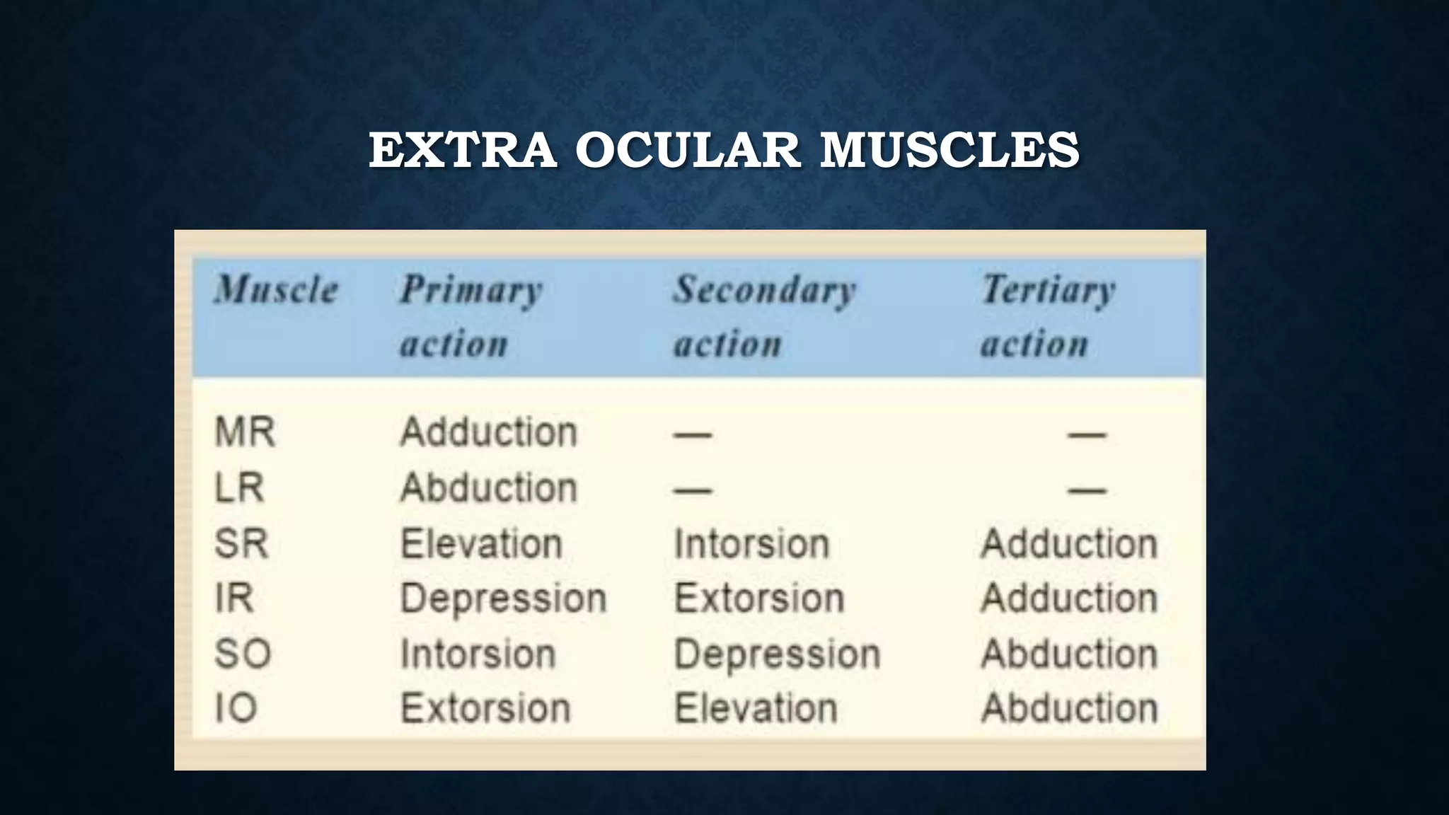 EXTRA OCULAR MUSCLES
 