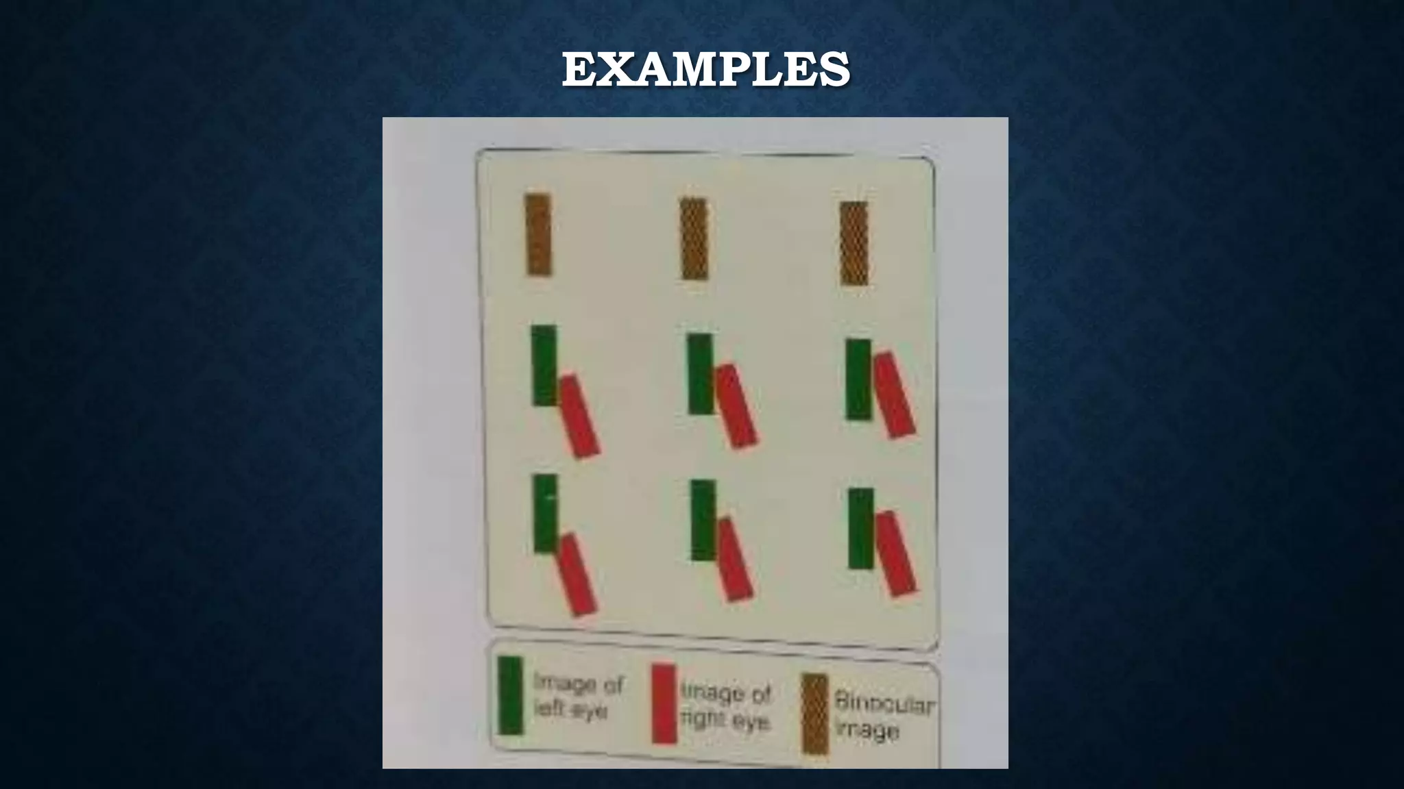EXAMPLES
 