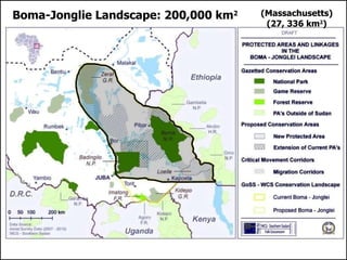 Boma-Jonglie Landscape: 200,000 km 2 (Massachusetts) (27, 336 km 2 ) 
