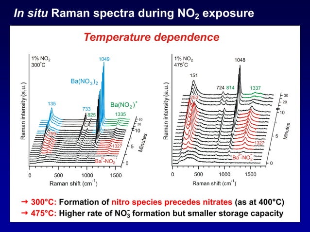 hess_raman_spectroscopy_101106.pdf
