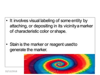 • It involves visual labeling of some entity by
attaching, or depositing in its vicinityamarker
of characteristic color orshape.
• Stain is the marker or reagent usedto
generate the marker.
10/13/2018 5SUNIL KUMAR. P
 