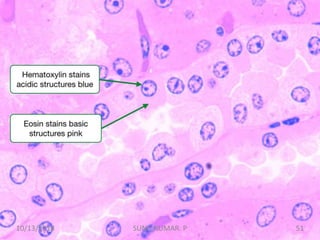 10/13/2018 51SUNIL KUMAR. P
 